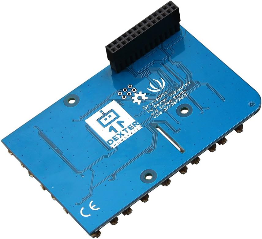 スヌケ ステッキ 木刀 棒 杖 模造刀 登 印 堀之内 希少